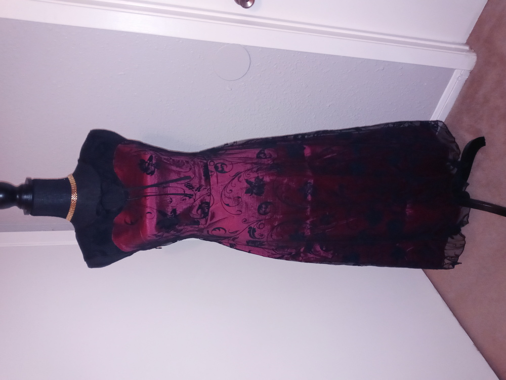 Never Worn Dress